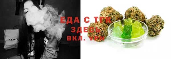 сатива Новозыбков