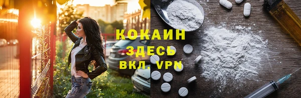 прущие грибы Армянск
