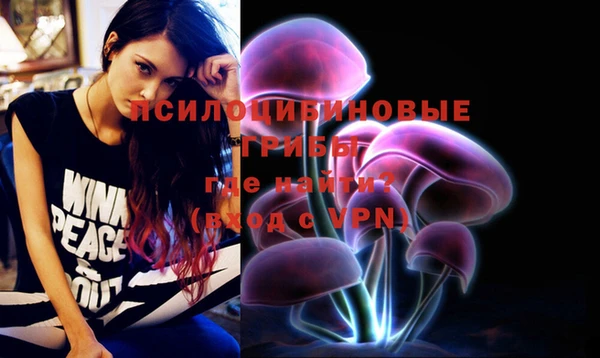 бошки Алексеевка